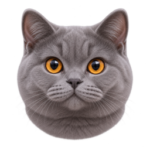 Gray British Shorthair illustration for choosing automatic cat feeder recommendations